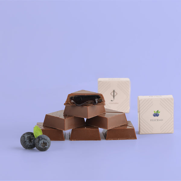  Jakobi Chocolatier - Truffle Milk Bluebery